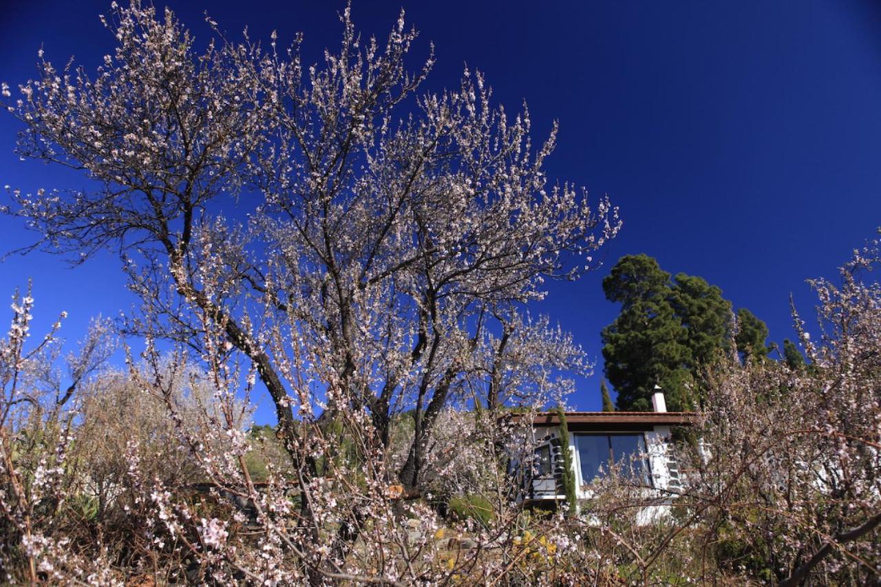 Panorama Suite El Mirador Πούντα Γκόρντα Εξωτερικό φωτογραφία