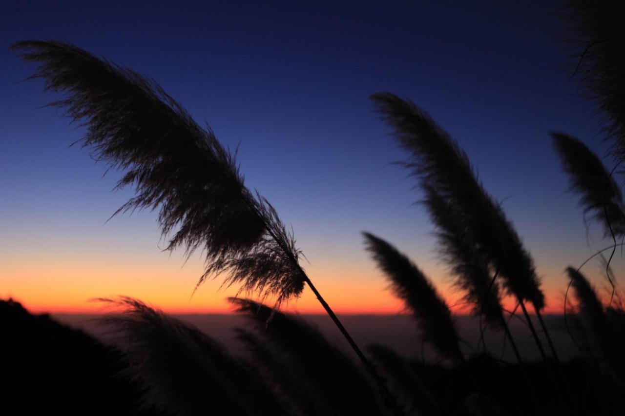 Panorama Suite El Mirador Πούντα Γκόρντα Εξωτερικό φωτογραφία